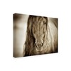 Trademark Fine Art Lisa Dearing 'Mustang Sally Horse' Canvas Art, 14x19 IC00435-C1419GG